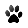 Captcha image 3874